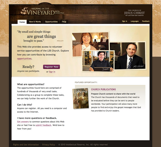 The Vineyard